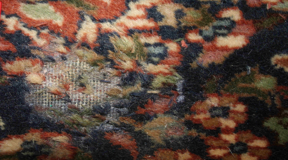 Moth Damage Rug Repair London