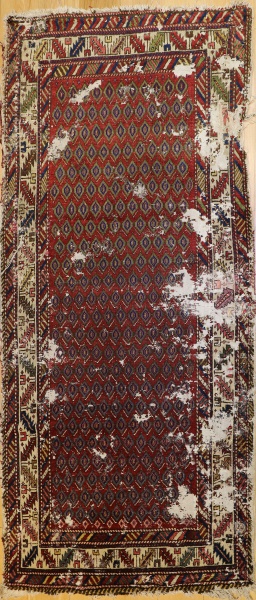 R2887 Antique Shirvan Rug