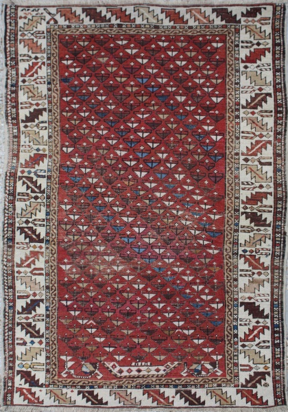 F722 Antique Shirvan Rug