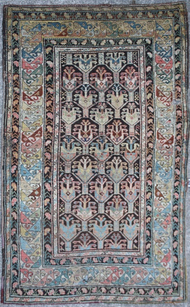 R3385 Antique Shirvan Rug