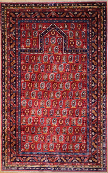 R6713 Caucasian Shirvan Rug