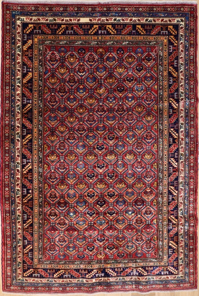 R6719 Caucasian Shirvan Rug