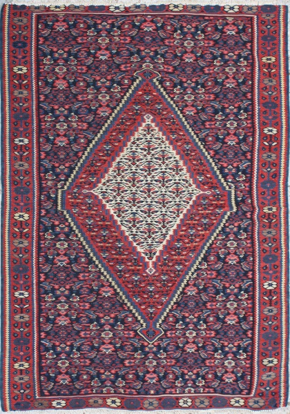 R2670 Persian Senneh Kilim Rug