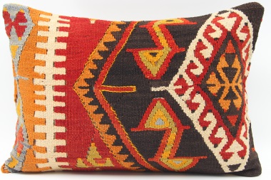 D207 Vintage Kilim Lumbar Pillow Covers