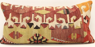 D437 Vintage Kilim Pillow Covers