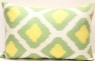 i59 - Uzbek Ikat Cushion Covers