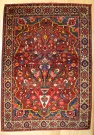 R8607 Antique Persian Carpets