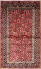 R6711 Caucasian Shirvan Rug
