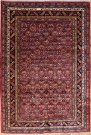 R6719 Caucasian Shirvan Rug