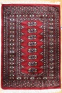 Pakistan Bokhara Rug R7539