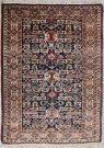 R6891 Perepedil Rug