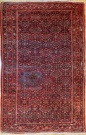 R4505 Persian Hamadan Rug