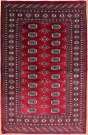 R8640 Traditional Pakistan Bokhara Rug