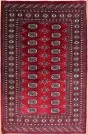 R8640 Traditional Pakistan Bokhara Rug